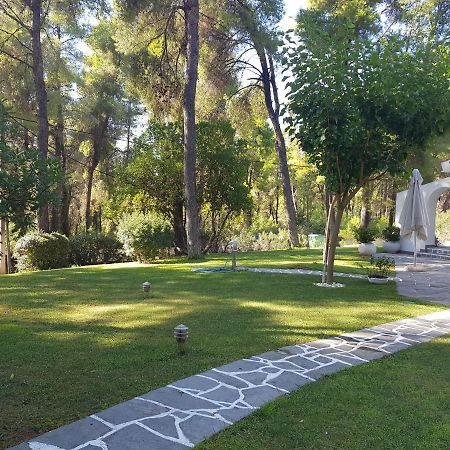 Sani Villa Christy Ngoại thất bức ảnh